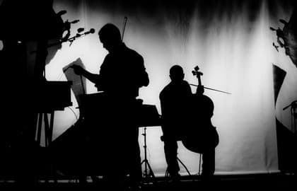 Концерт «Atomic Cellos. Мировые рок-хиты на виолончелях при свечах в оранжерее»