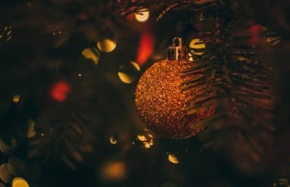 HAPPY NEW YEAR. Концерт в Оранжерее при Свечах