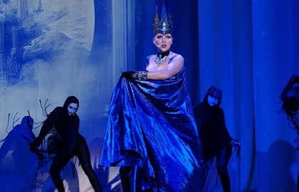Спектакль «Синяя птица» (Санкт-Петербургский музыкально-драматический театр Синяя птица)