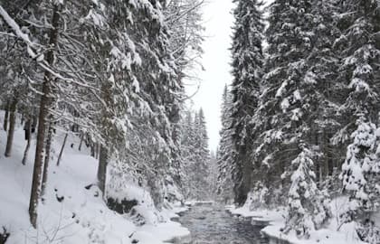 День в сердце Карелии: Рускеала и царство водопадов